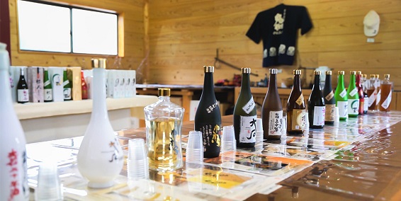 Using NFTs and the metaverse to boost the brand power of Kuma Shochu